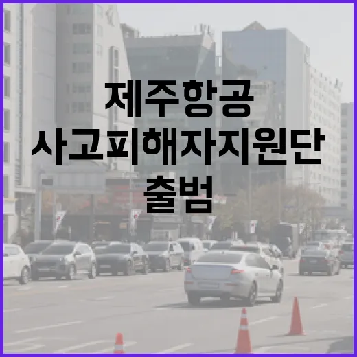 제주항공 사고 피해…