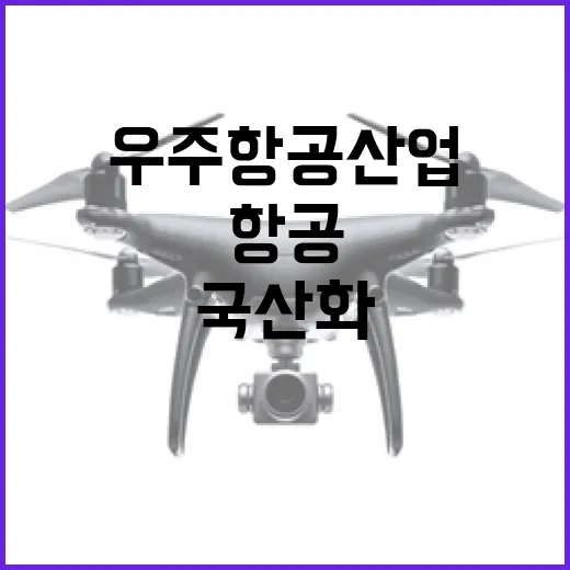 우주항공산업 국산화로 세계 시장을 향하다!