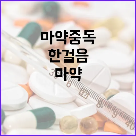 한걸음 프로젝트 마…