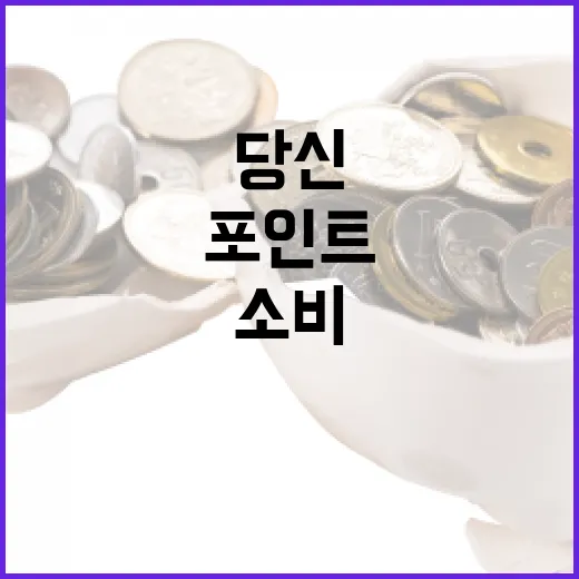 적립식 포인트 당신의 알뜰한 소비 비법 공개!