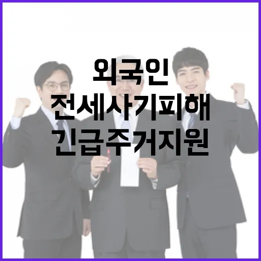 전세사기 피해 외국…