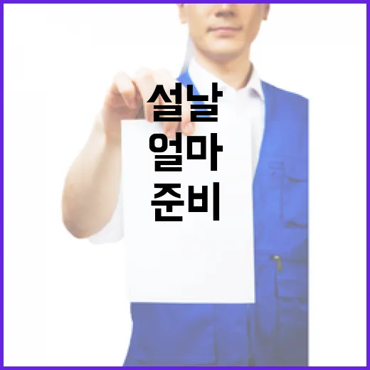 안전한 설날 당신의 준비는 얼마인가?