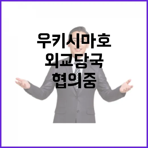 우키시마호 사건 행…