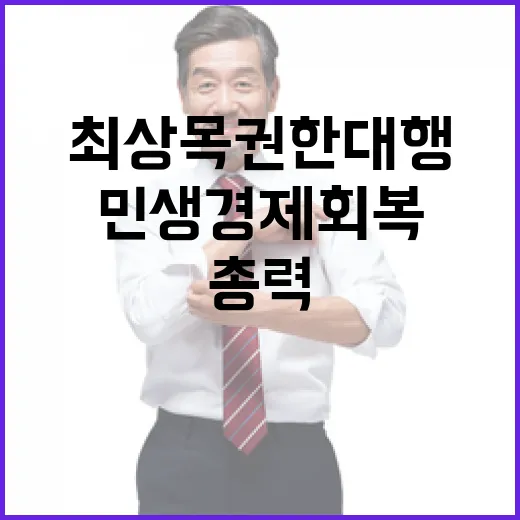 민생경제 회복 최상목 권한대행 총력 경영!