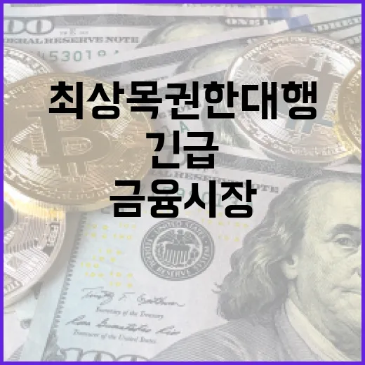 금융시장 점검체계 최상목 권한대행의 긴급 당부