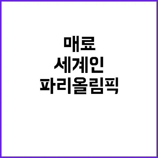 한식, 파리 올림픽…