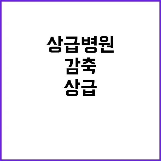 복지부 “빅5 중환…