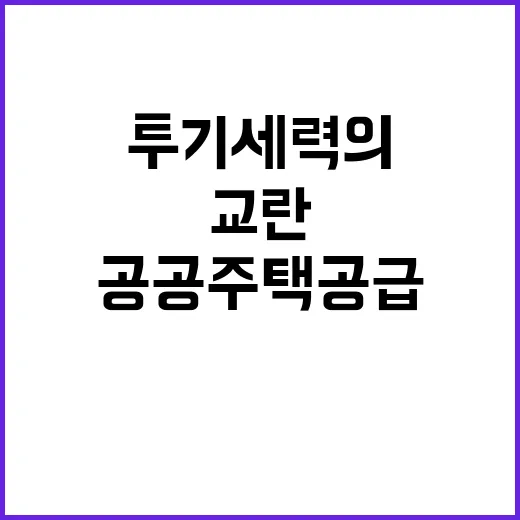 투기세력의 교란? …