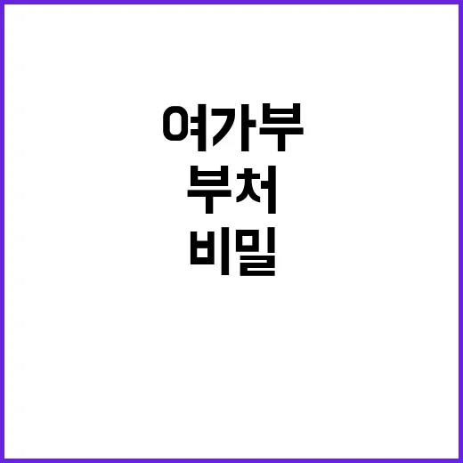 여가부 협업 비밀 …