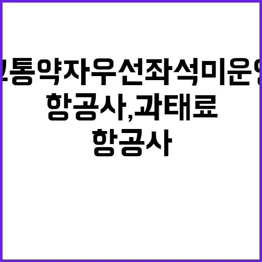 교통약자 우선좌석 …