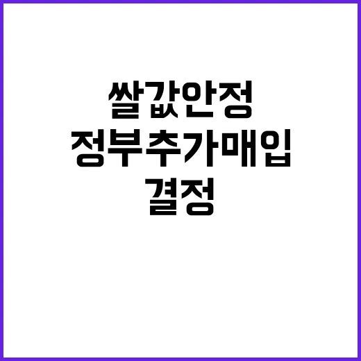 쌀값 안정 정부 추…