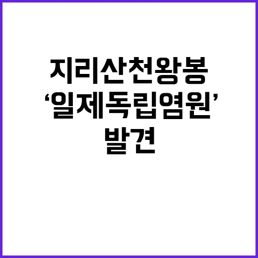 ‘일제 독립 염원’…