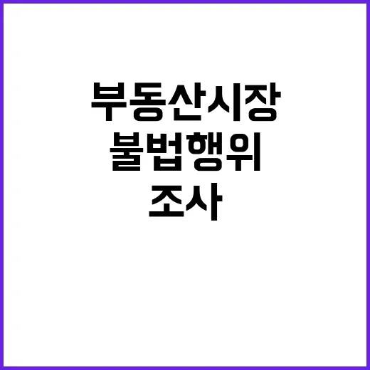 부동산 시장 불법행위 조사로 가격 폭등 우려!