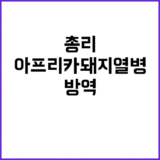 총리 아프리카돼지열병 방역조치 긴급지시 발표!