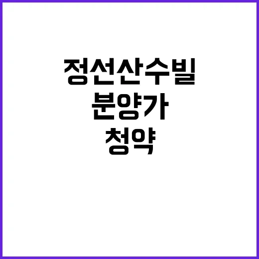 정선산수빌 청약 일…