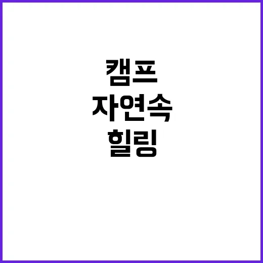 캠프하다