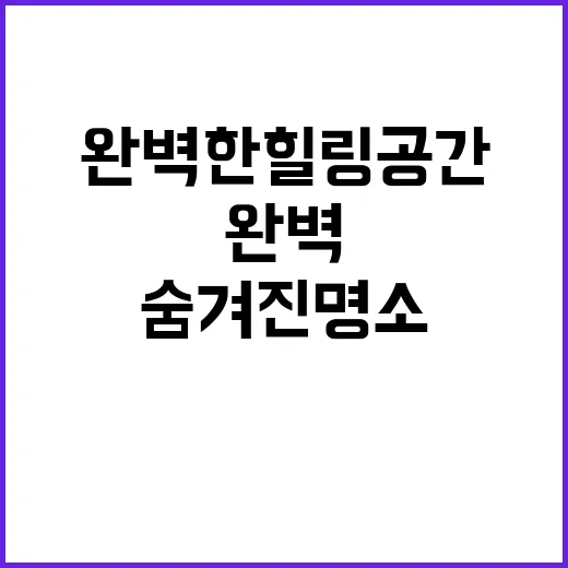 알지캠프266