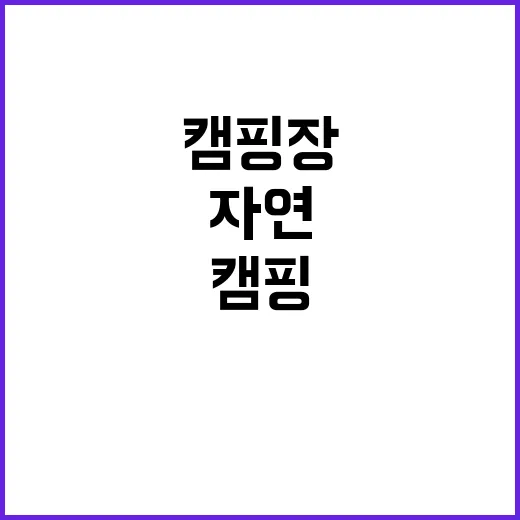 토우마루캠핑장 완벽…