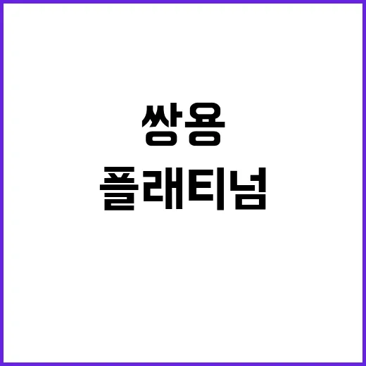 쌍용 더 플래티넘 …