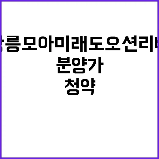 강릉 모아미래도 오션리버 청약 시작 분양가 확인하세요!