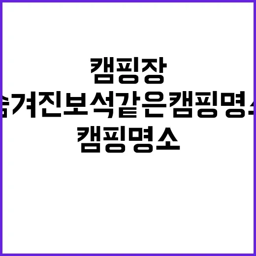 도토리 캠핑장