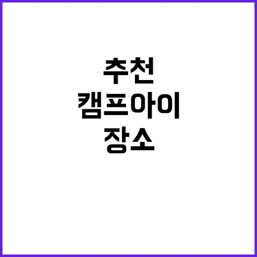 도기도기캠프