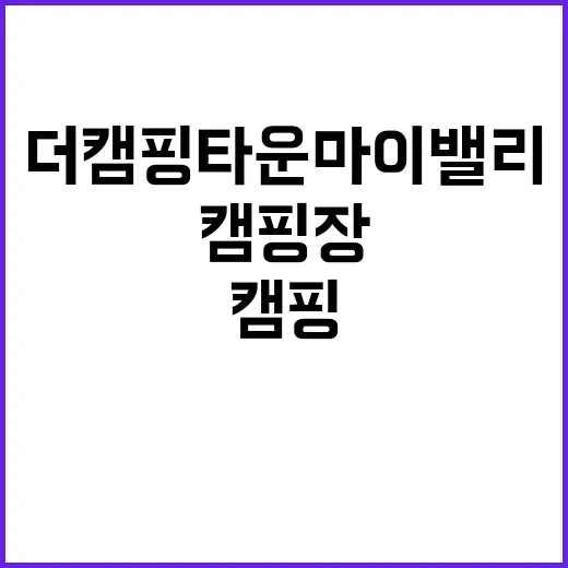 더캠핑타운 마이밸리