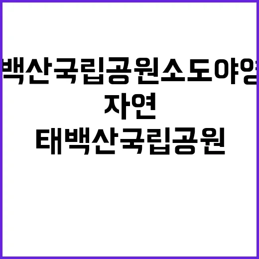 태백산국립공원 소도…