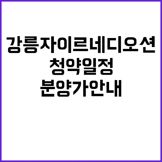 강릉자이르네 디오션…