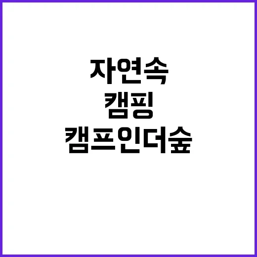 캠프 인더숲