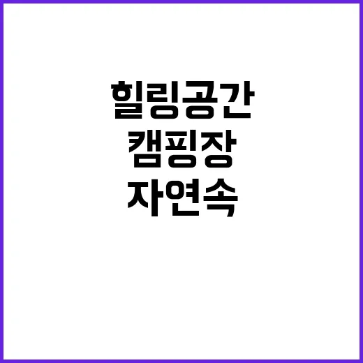 별그리다 캠핑장 완…