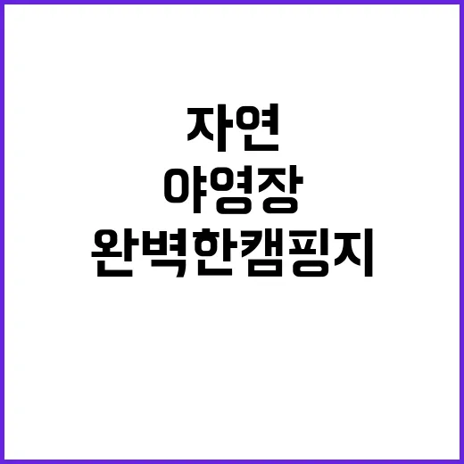 수인야영장