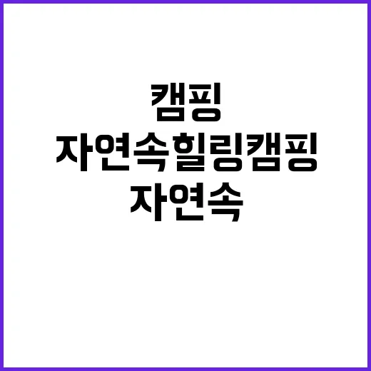 아라캠프