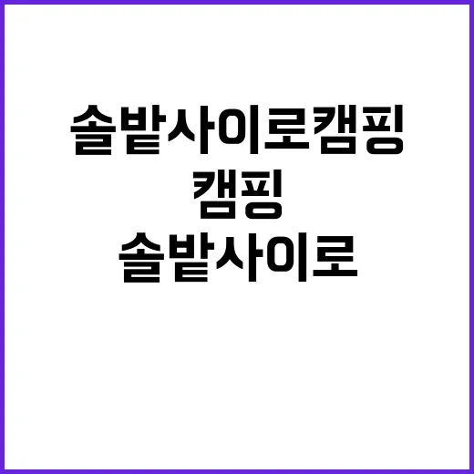 솔밭사이로 캠핑&펜…