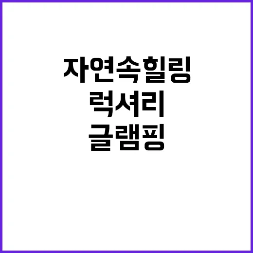 블포 풀글램핑