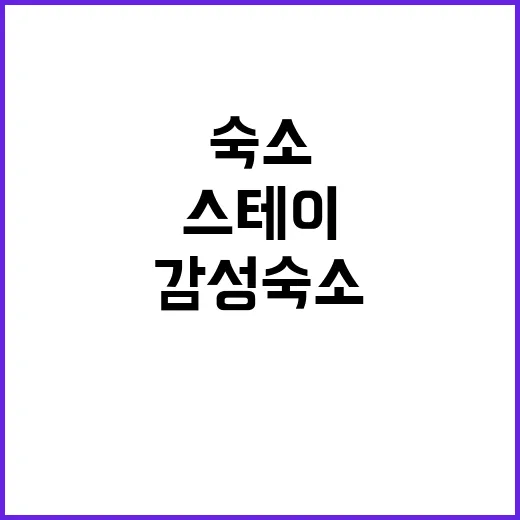 스테이NAMU 독특…