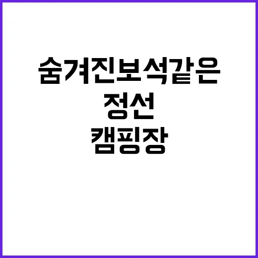 정선 달별빛 캠핑장