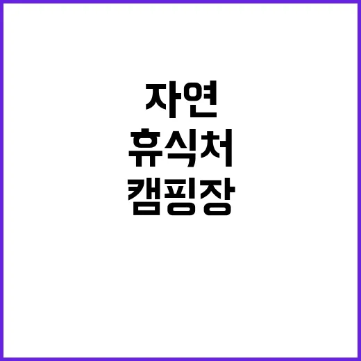 청우재 캠핑장