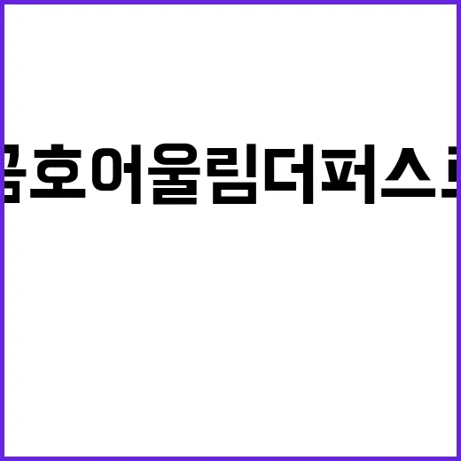 양양 금호어울림 더…