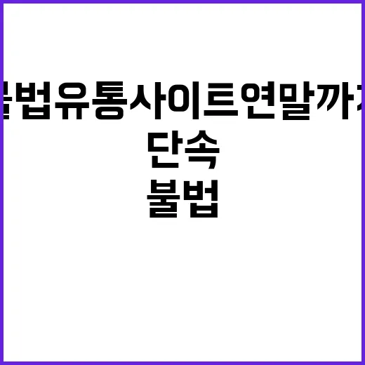 불법유통 사이트 연말까지 강력 단속 예정!