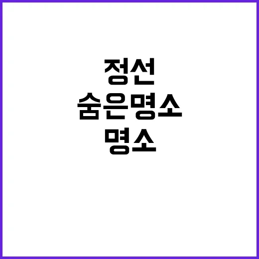 우니메이카 정선