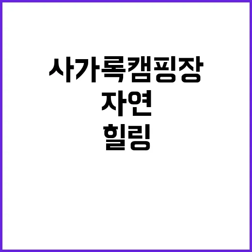 사가록캠핑장 자연 …