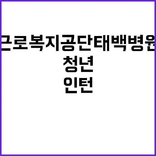 [태백병원] 산업위생사 청년(체험형)인턴 채용 공고