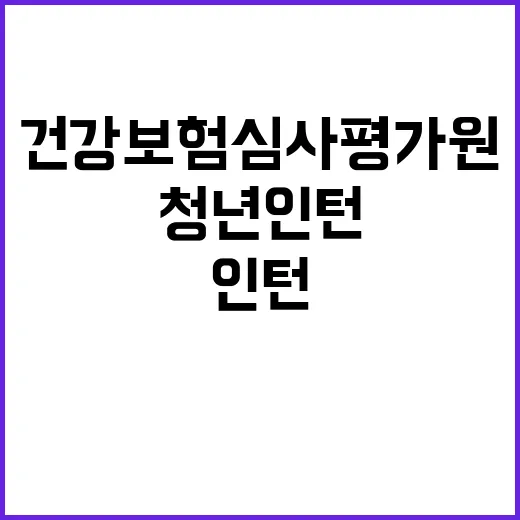 건강보험심사평가원 …