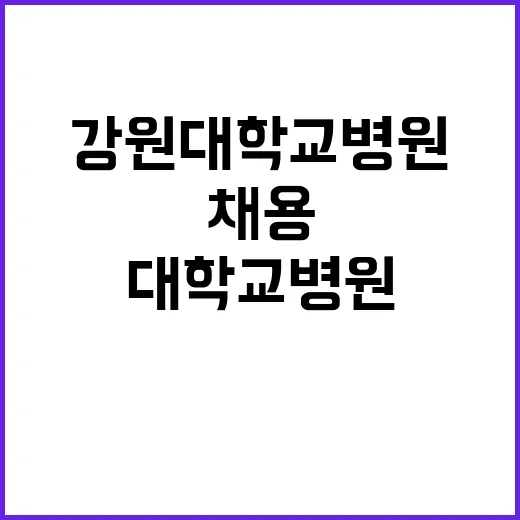 강원대학교병원 원무…