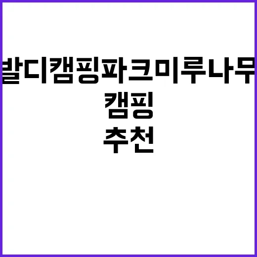 비발디캠핑파크 미루나무점