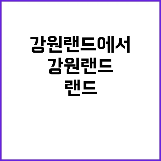 (주)강원랜드 2024년 추계시즌 기간제 근로자 모집 공고