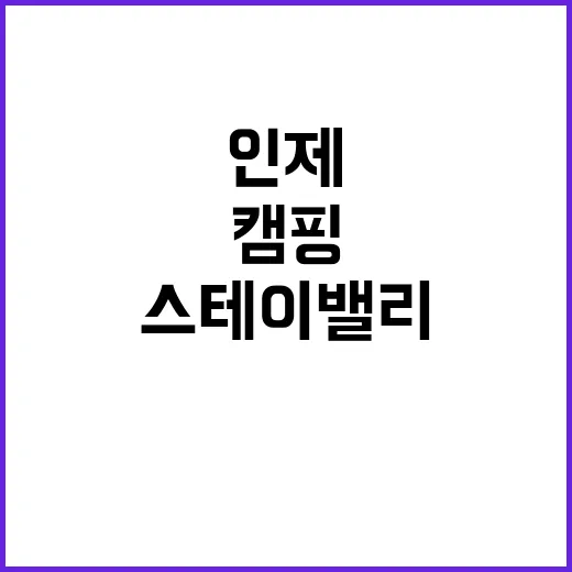 인제 스테이 밸리 캠핑