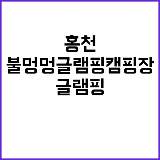 홍천불멍멍글램핑캠핑…