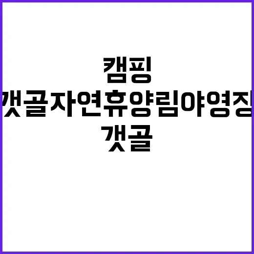 갯골자연휴양림 야영…